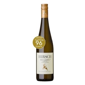 Weingut Hirsch Ried Gaisberg Grüner Veltliner 2023 Kamptal DAC
